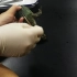 【实验】双毁髓法处理牛蛙实验步骤及注意事项