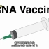 【分子生物学指南】mRNA疫苗的研发原理