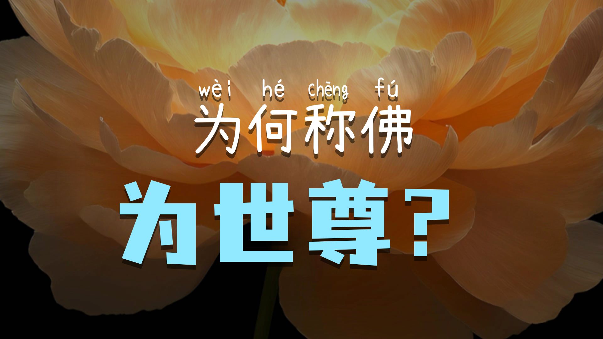 体佛法师开示：婆伽婆