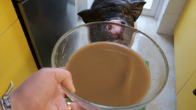 如何让自己不那么爱吃碳水 4357d44f338472b1d0796ba74e769fe33dd7e55f.jpg@280w_158h_1c_100q.jpg