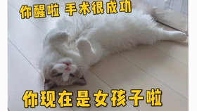 43602e21d30da65ce140140801ca4577a0ff0943.jpg@280w_158h_1c_100q.jpg