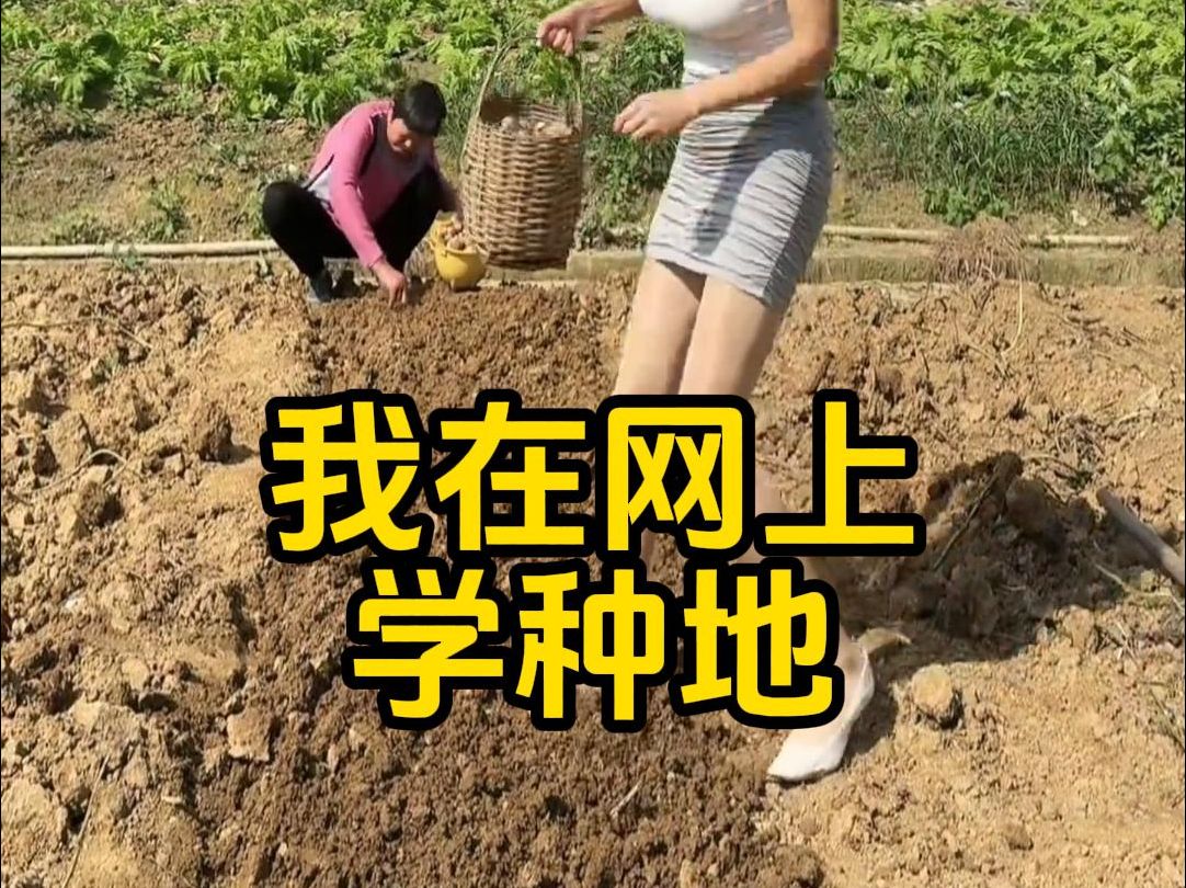 爸妈种地供我上学,我在网上学种地.大型纪录片《我在网上学种地》哔哩哔哩bilibili