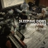 Sleeping Dogs & Jinsfake - Mongolian Beat (live at 集)