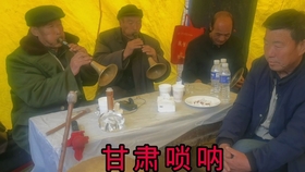 会宁小曲唢呐曲谱_唢呐图片