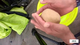 43a67405e9aa70e3e26c104f151982398ea63b7a.jpg@280w_158h_1c_100q.jpg
