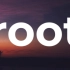 【教程07+】从小白的角度教你获取root