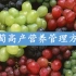 葡萄高产营养管理方案