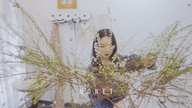 标本制作植物花怎么做 43dff8c163ddc6ae6f6f34f252c20cab5b01ed97.jpg@280w_158h_1c_100q.jpg