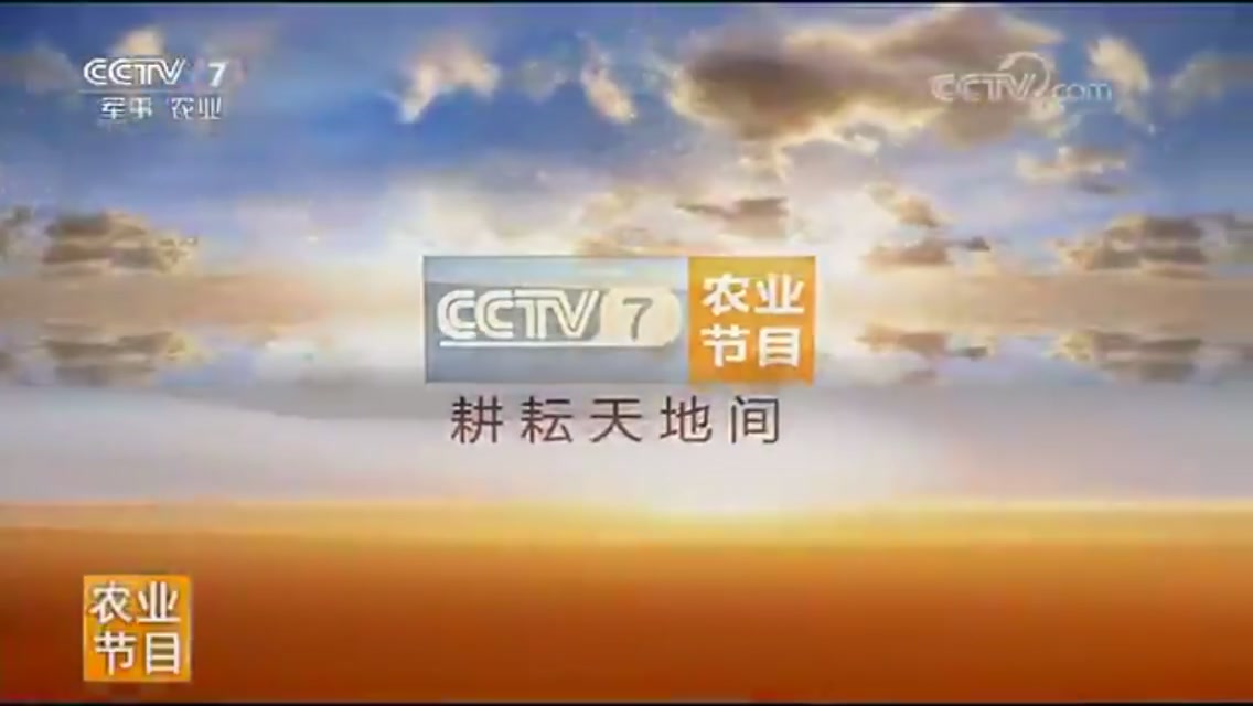 cctv7农业节目id
