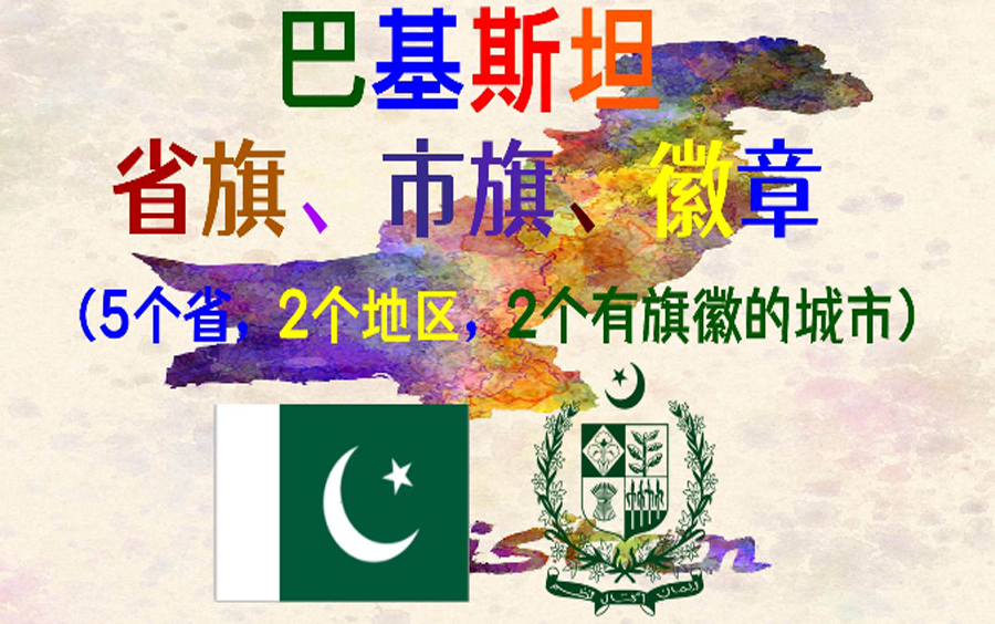 巴基斯坦伊斯兰堡发起颁布许可证运动