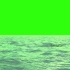 绿幕视频素材鲸鱼