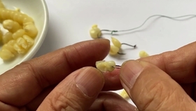 挂钩玉米怎样饱满不瘪 43f2dfa6e4dac3ef00b0802b303e8f911fc2e31c.jpg@280w_158h_1c_100q.jpg