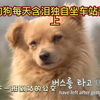 眼 睛 尿 尿 了