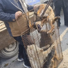 创业致富养肉狗，成年之后全窝笼上狗肉车，凶的用夹子温顺的抱进