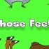 少儿英语学习 Whose Feet_ _ Learn Animals Song for Kids