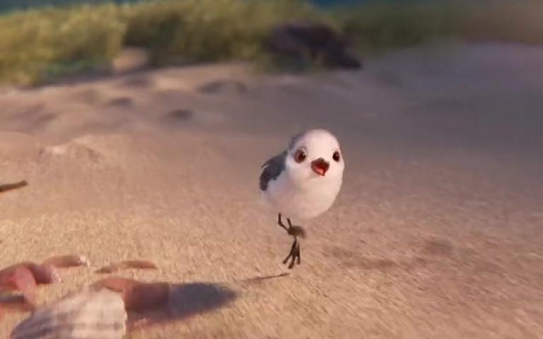 特条丨皮克斯 2016 动画短片:「鹞 piper」
