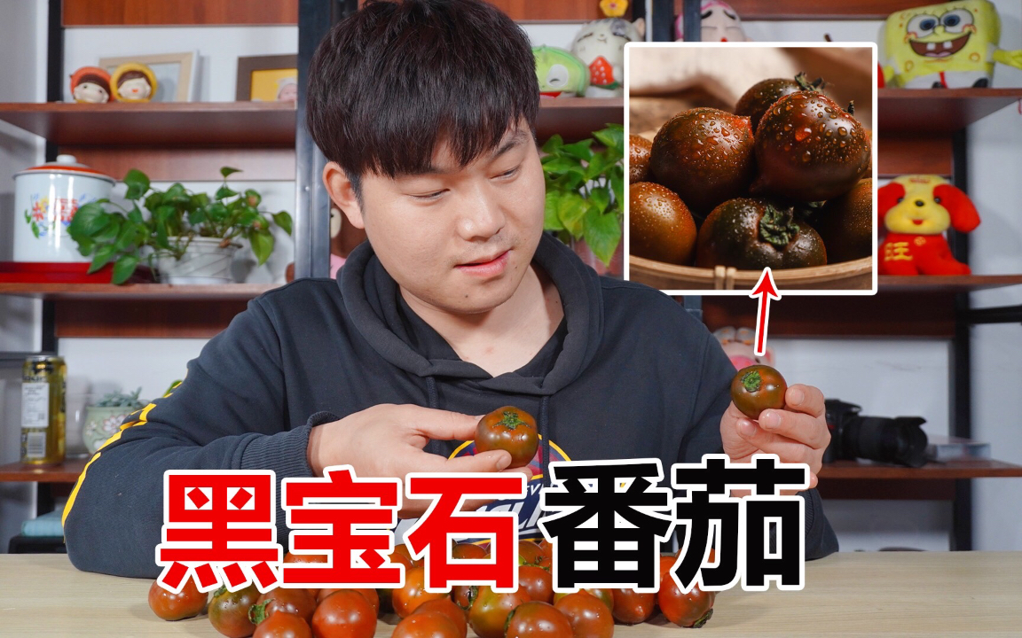 试吃超贵的黑宝石番茄，花68元买了三斤，号称糖水炸弹是真的吗？