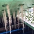 新灌溉技术雾培箱种植提高产量