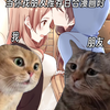 还有人没看过这部百合漫画