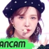 【Red Velvet】Wendy直拍《Birthday》FanCam(竖版)