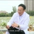 辽阳新闻频道《在一线》王子胜-辽宁省农科院经济作物研究所