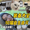 10胎小猫留守空房，自生自灭全靠这些！自动喂食器/饮水机/监控摄像分享
