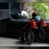 大熊猫萌兰的妈妈萌萌与轮椅上的老奶奶温情对视