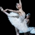 【天鹅湖】英国皇家芭蕾舞团2018年新作