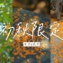 Vlog#05｜桂花味的江南秋天·岁月静好的平凡日子