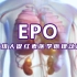 EPO 重组人促红素医学原理动画