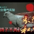 当鸽子不再象征和平，我终于被提醒，这些都是食腐的秃鹰！#731 #牢记历史 #文化