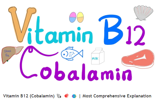 维生素 B12（钴胺素）🐚 🥩 🐠 |最全面的解释 Vitamin B12 (Cobalamin) 🐚 🥩 🐠