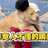 只有养宠人才懂的瞬间