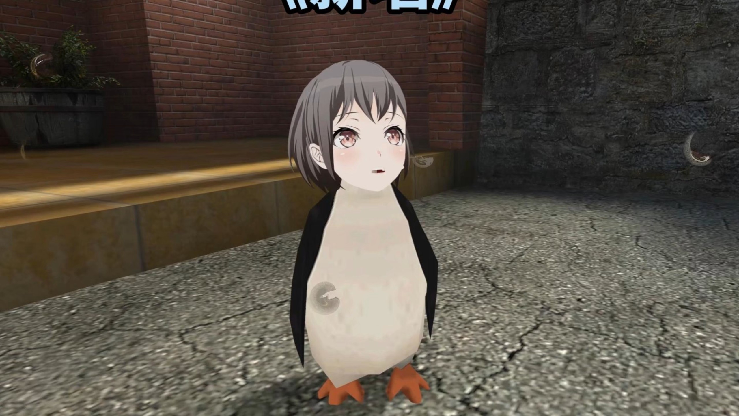 🐧薪墙🐧