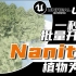 【百日筑基014_】UE5_一秒-批量开启Nanite，植物为例