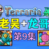 【泰拉瑞亚】瑟银+巨石+老吴+龙哥9.毁灭猪鲨铁吴克_游戏热门视频