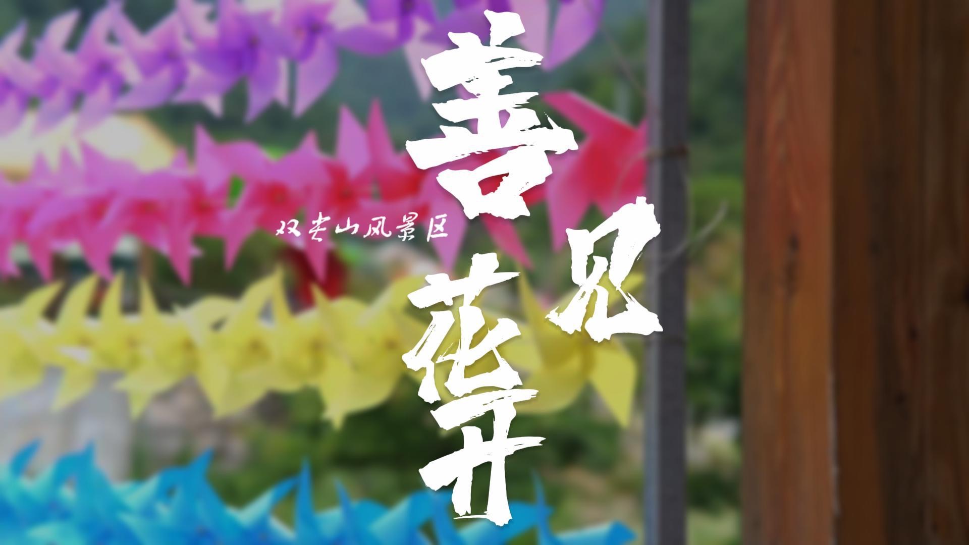 善见花开｜浙江台州三门善见双尖山景区宣传片