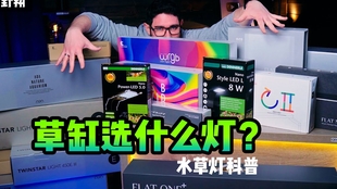 45075ec277ddcbc33c9ce252de804cb2cd142584.jpg@310w_174h_1c_100q.jpg