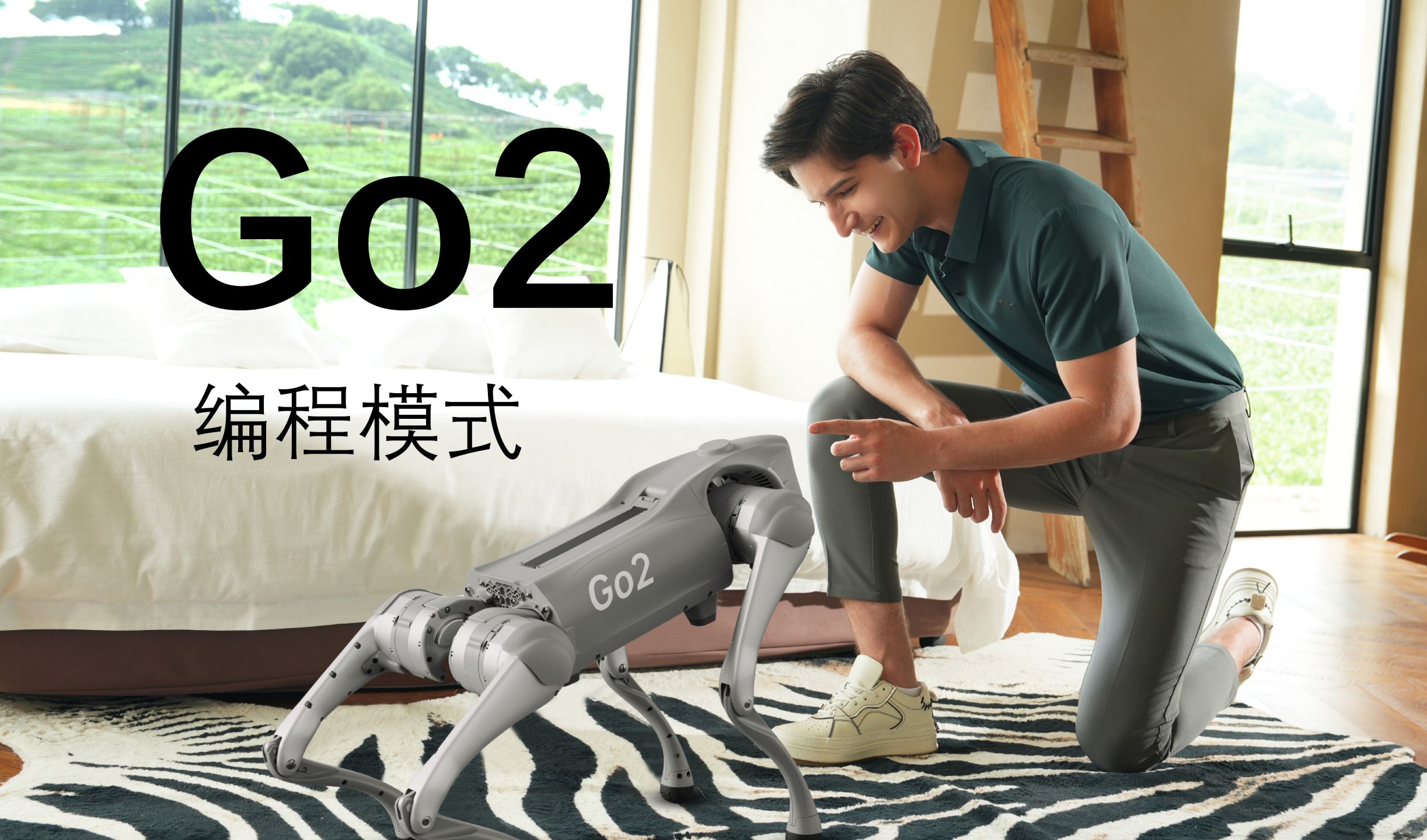 Go2使用教学10-编程模式