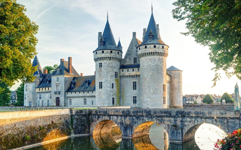法国境内居然有三万座荒废的城堡，原因据说是有很多古堡继承者的后代，无力按照法国对古迹的保护标准维护，地处又偏远而荒废了。#法国 #城堡 #庄园