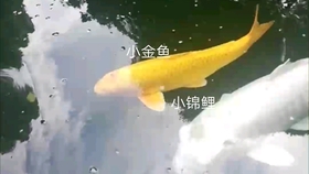 454c3b33876bda18a416789e0b9d71486a6dac3f.jpg@280w_158h_1c_100q.jpg
