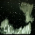 【豆瓣9分推荐】法国创意动画《精神分裂症 Skhizein》2008 野生中字