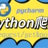 【Python爬虫】2022硬核最全教程，深度讲解pycharm/request/get&post，一个视频看全貌。