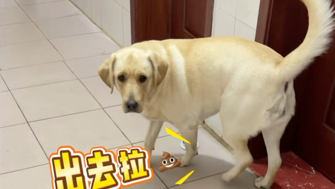 不是开饭吗？怎么成拉屎了