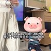 澳洲小学老师忽悠小孩系列之-老师去抓凤凰了