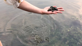 肚子吃一点东西就很撑是什么原因 456c0c353c8d68a0eea794ec9be68ae12642ab88.jpg@280w_158h_1c_100q.jpg