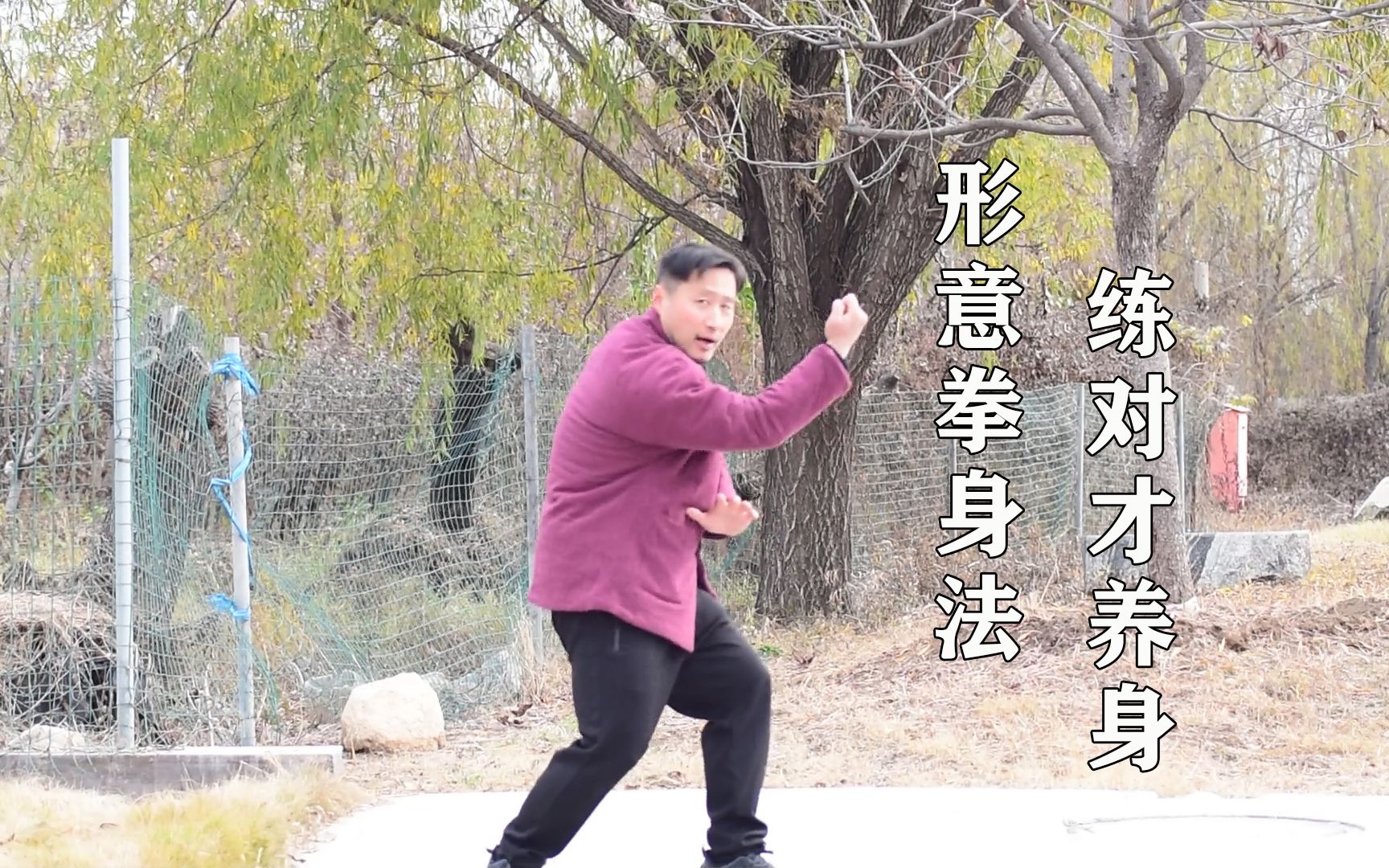 形意拳劈拳强肺钻拳强肾你想多了练不对啥也不强