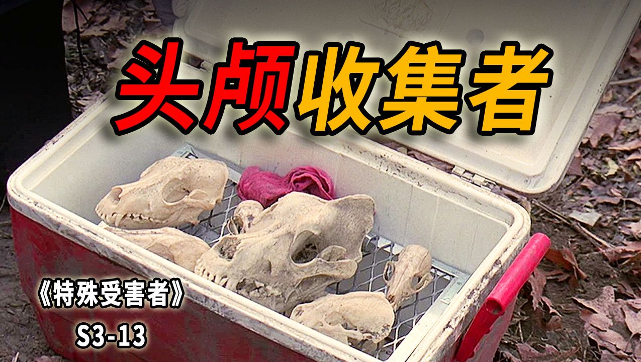 女人被剁掉脑袋和双手，与男尸抱在一起，反社会的特殊癖好《特殊受害者》S3-13