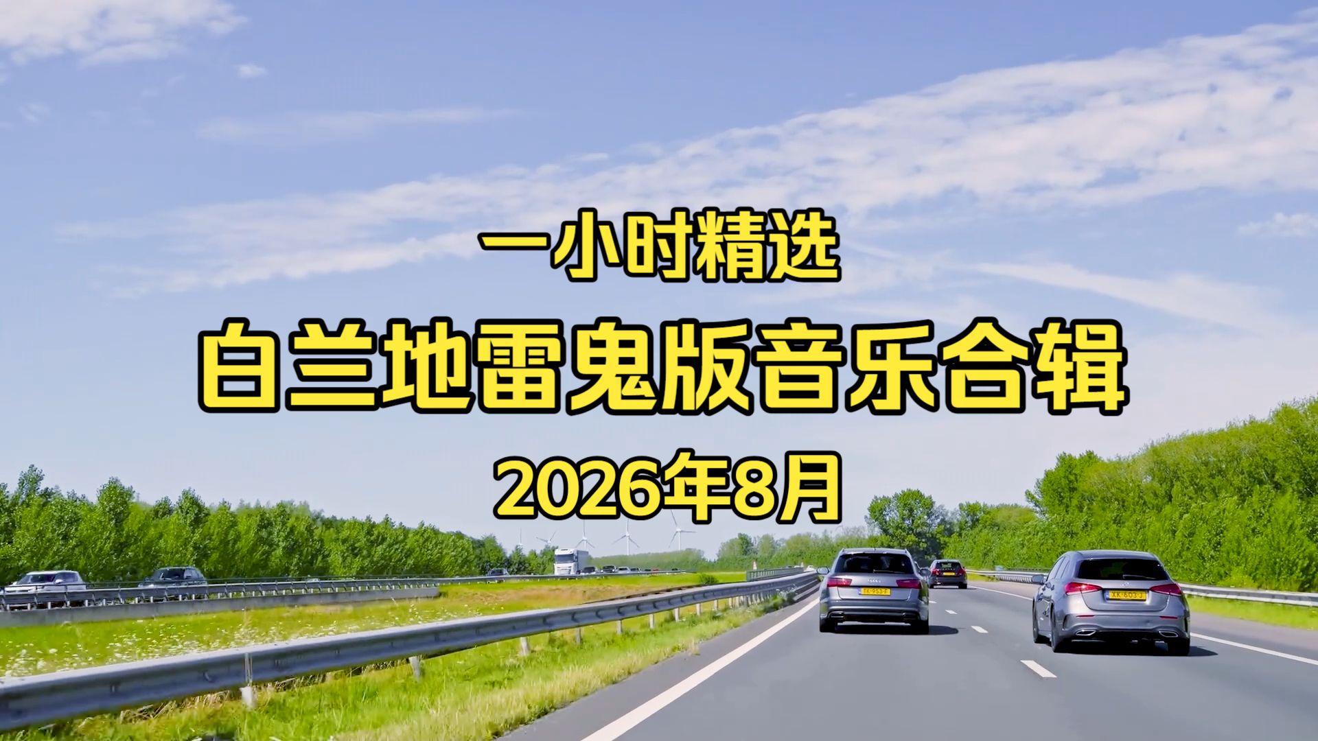 【白兰地雷鬼版全新收录合辑】《一小时精选雷鬼版热门金曲合辑》