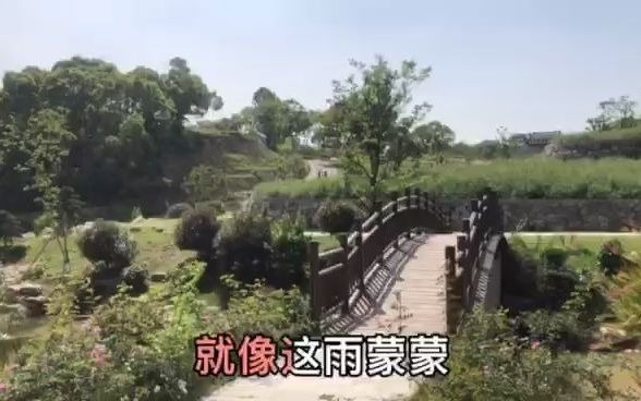 怀旧经典《今夜雨蒙蒙》龙飘飘，雨夜朦胧伊人在梦中？